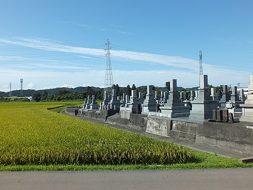 上田島墓地